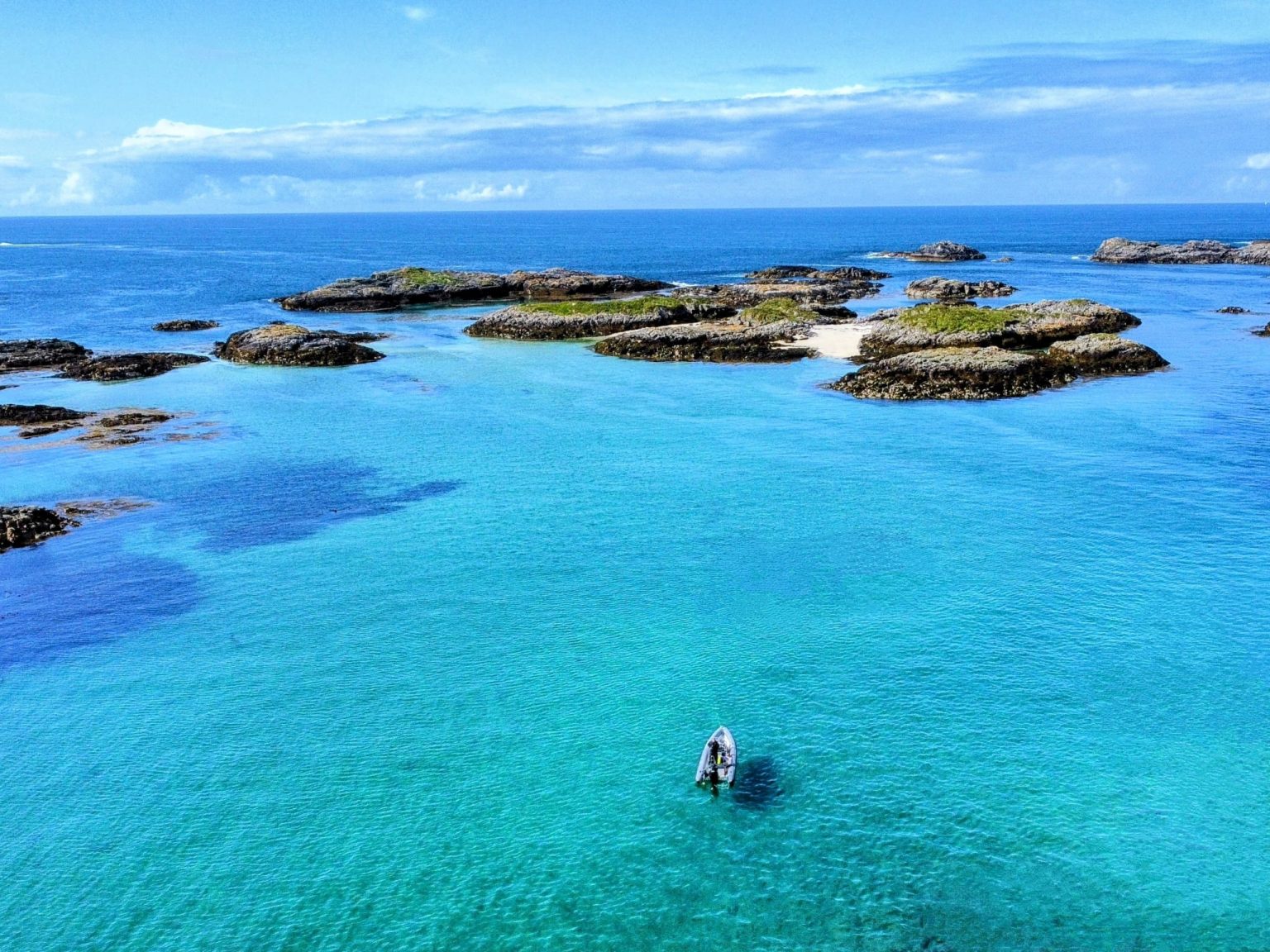 fc875d86-f483-4fb3-9d04-63aee13be936