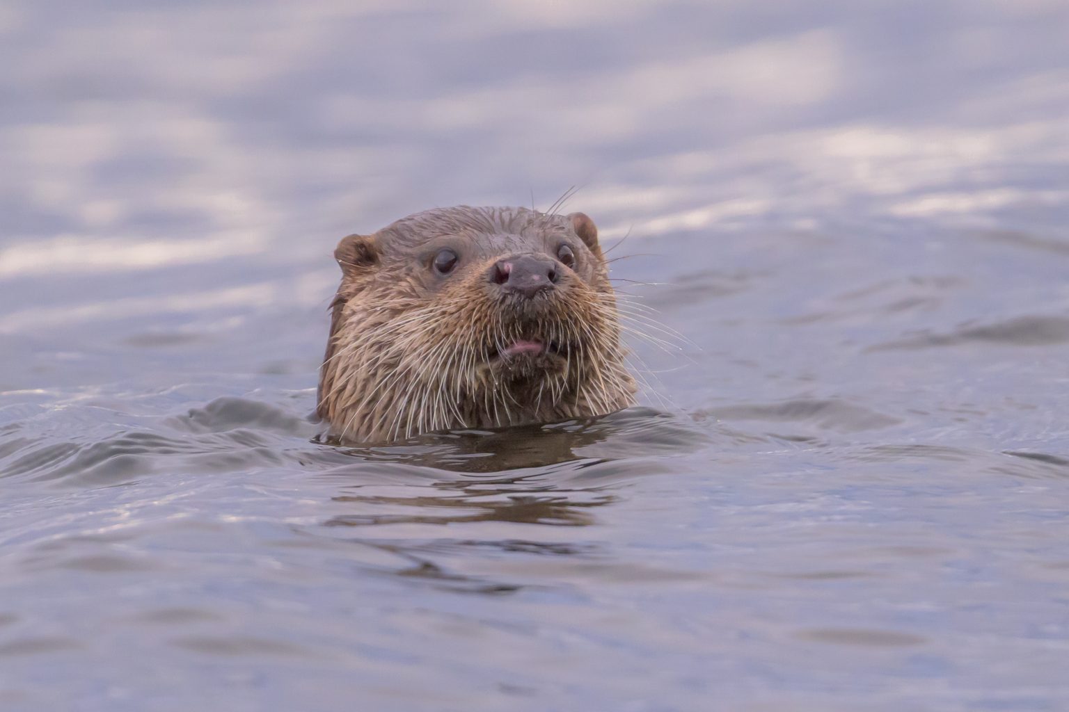 20260116 Kingairloch-07